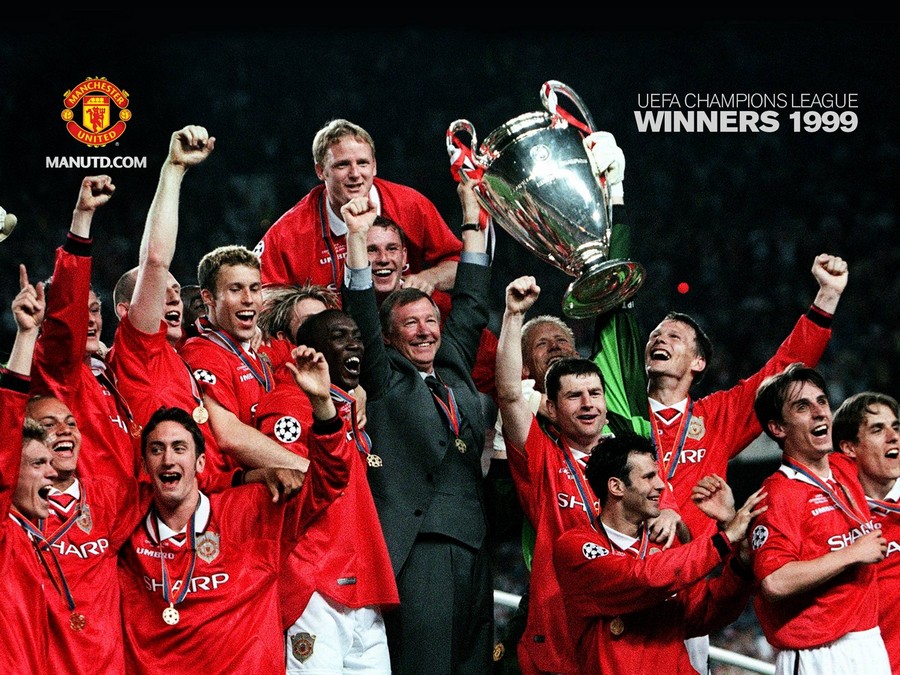 种投资型选 种投资型选